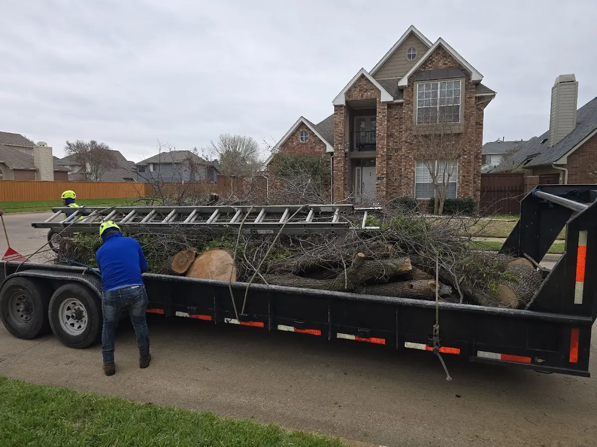 Expert Crown Reduction with proper safety equipment in Long Valley